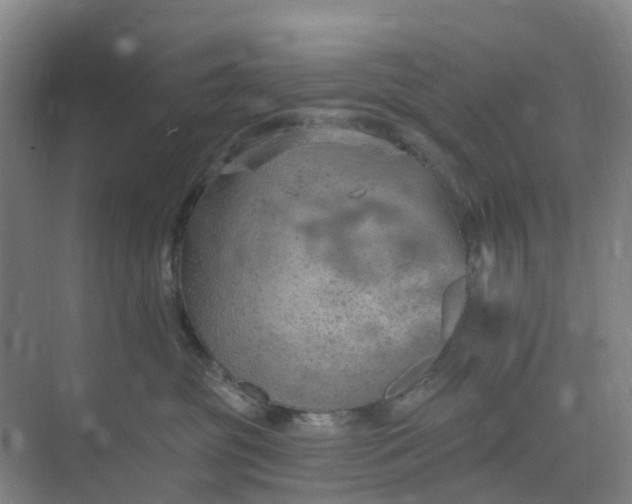 X0000074940381200609152011