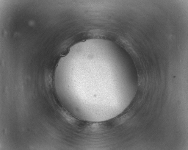 X0000074940382200609152011