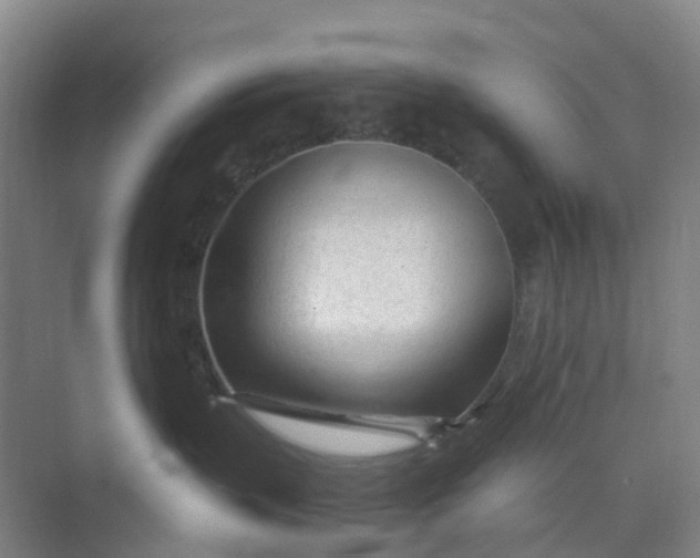 X0000074940383200609152011