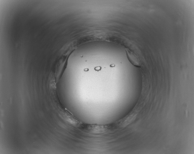 X0000074940384200609152011