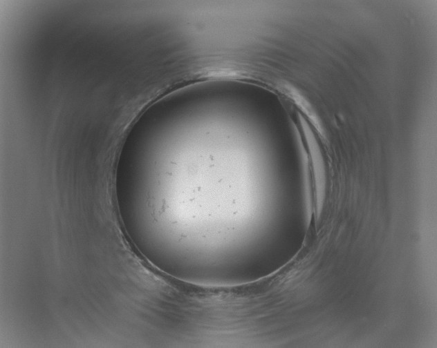 X0000074940385200609152010