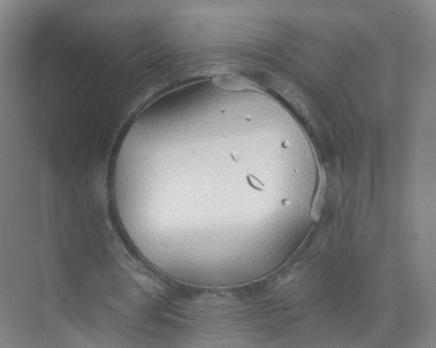 X0000074940386200609152010