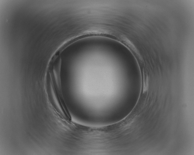 X0000074940387200609152010