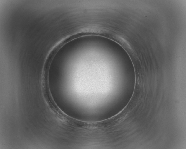 X0000074940388200609152010