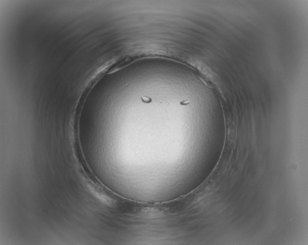 X0000074940390200609152010