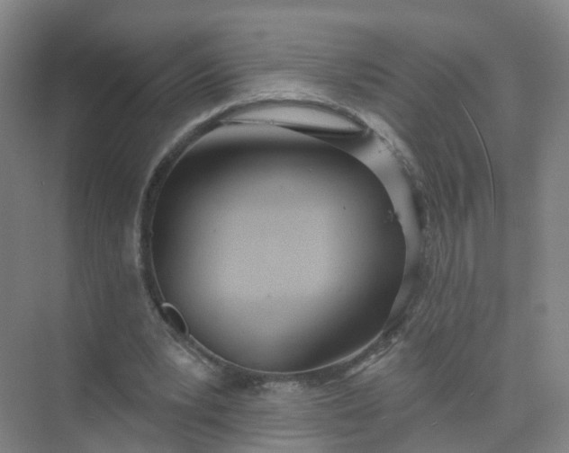 X0000074940391200609152010