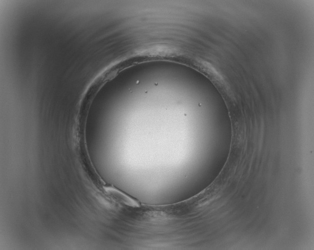 X0000074940392200609152010