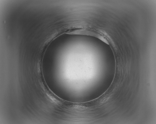 X0000074940393200609152010