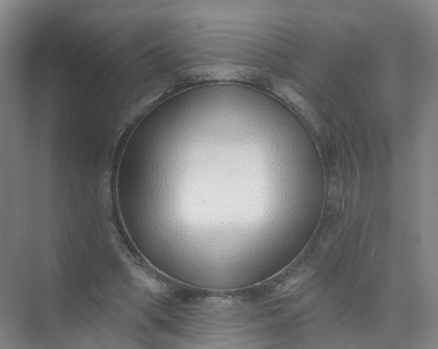 X0000074940394200609152010