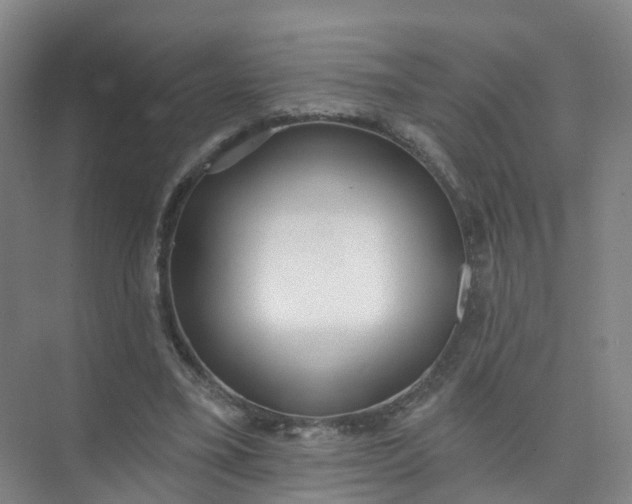 X0000074940395200609152010