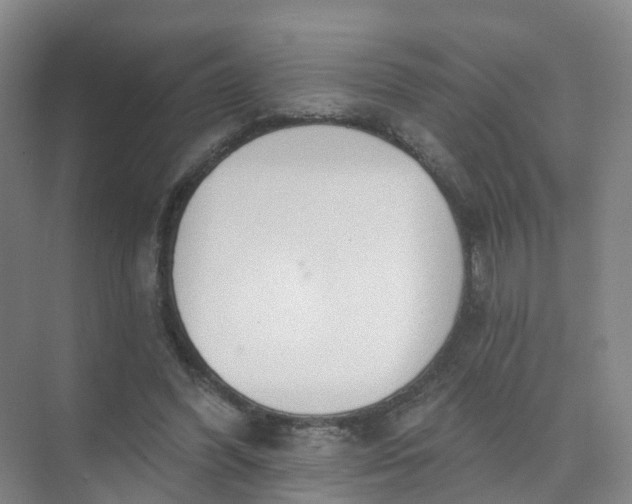 X0000074940396200609152010