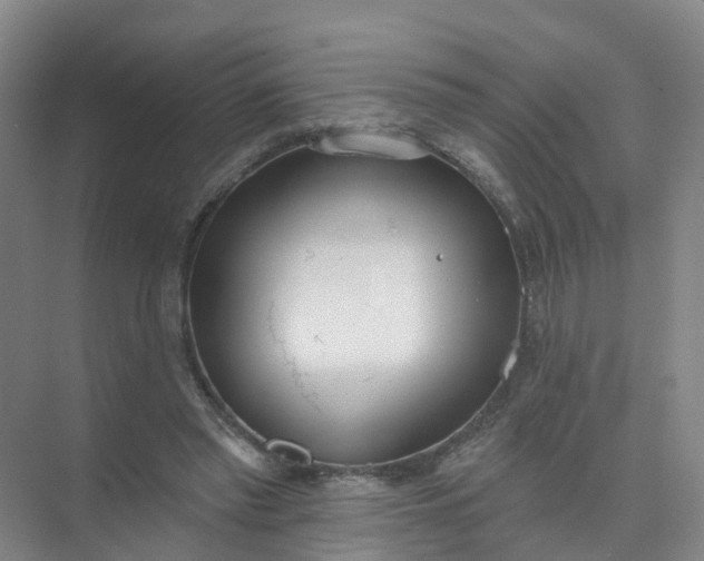 X0000074940397200609152010