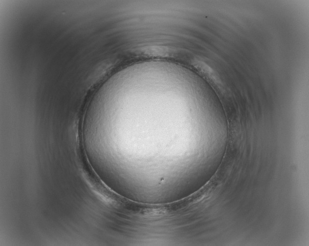 X0000074940398200609152010