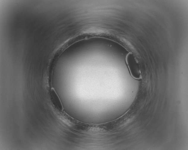 X0000074940399200609152010