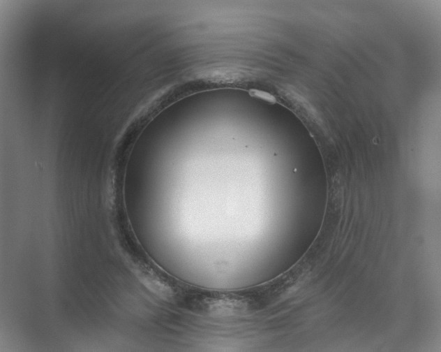 X0000074940400200609152010