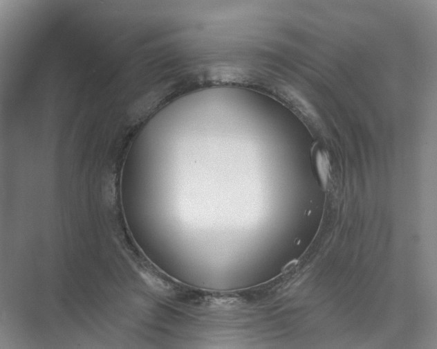 X0000074940401200609152010