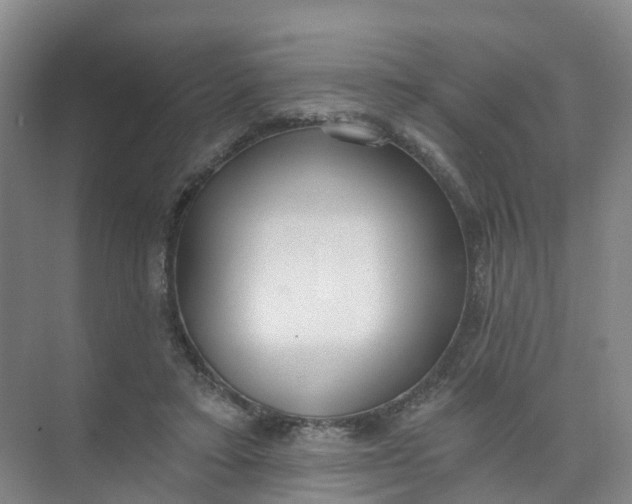 X0000074940403200609152010