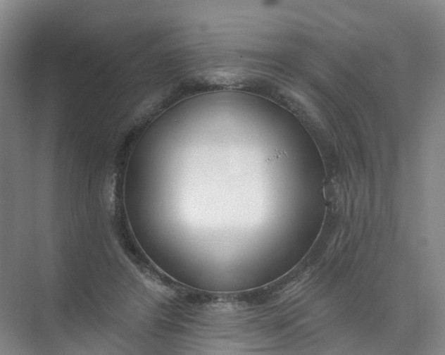 X0000074940404200609152010