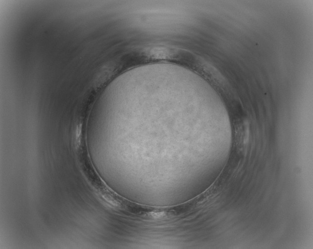 X0000074940406200609152010