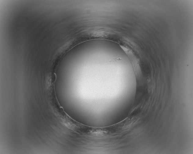 X0000074940407200609152010