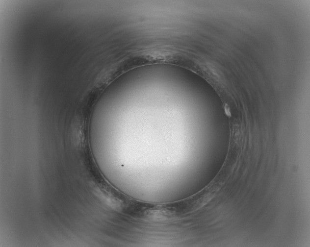 X0000074940408200609152010