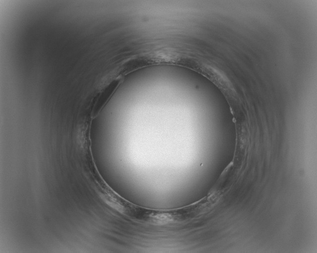 X0000074940409200609152010