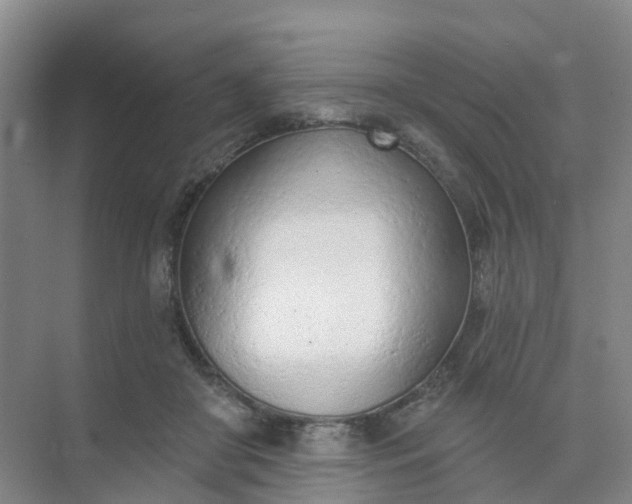 X0000074940410200609152010