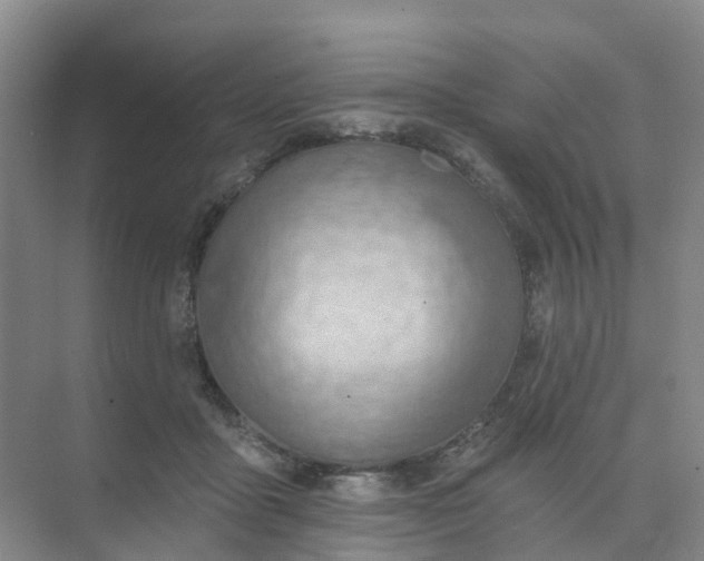 X0000074940411200609152010