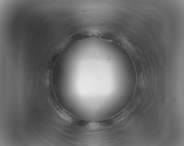 X0000074940413200609152010