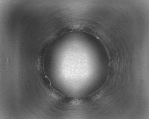 X0000074940416200609152010