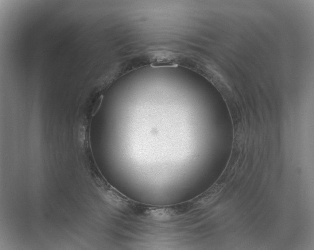 X0000074940417200609152010