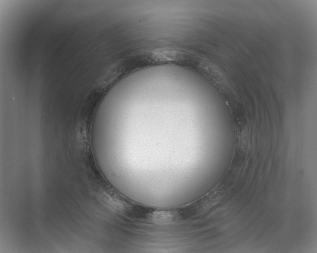 X0000074940418200609152010