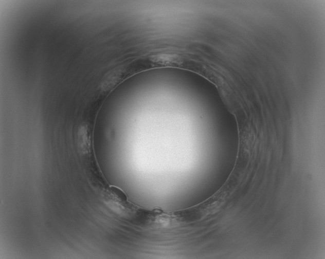 X0000074940420200609152009