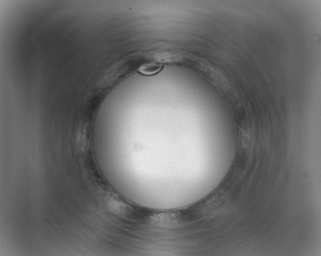 X0000074940422200609152009