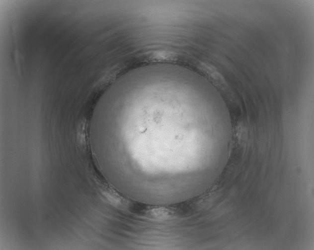 X0000074940423200609152009