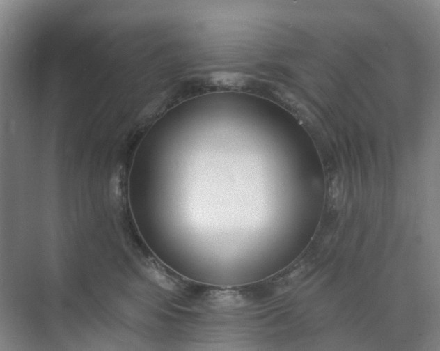 X0000074940424200609152009