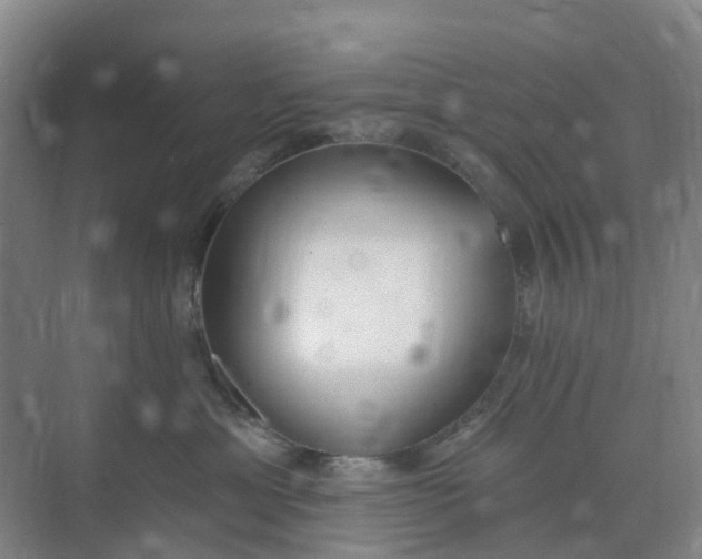 X0000074940429200609152009