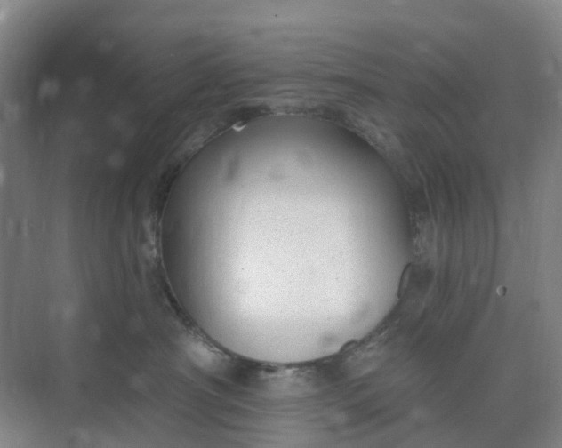 X0000074940430200609152009