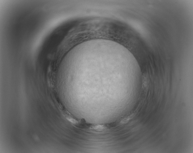 X0000074940431200609152009