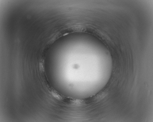 X0000074940432200609152009