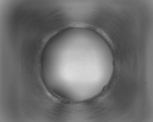 X0000074940433200609152008