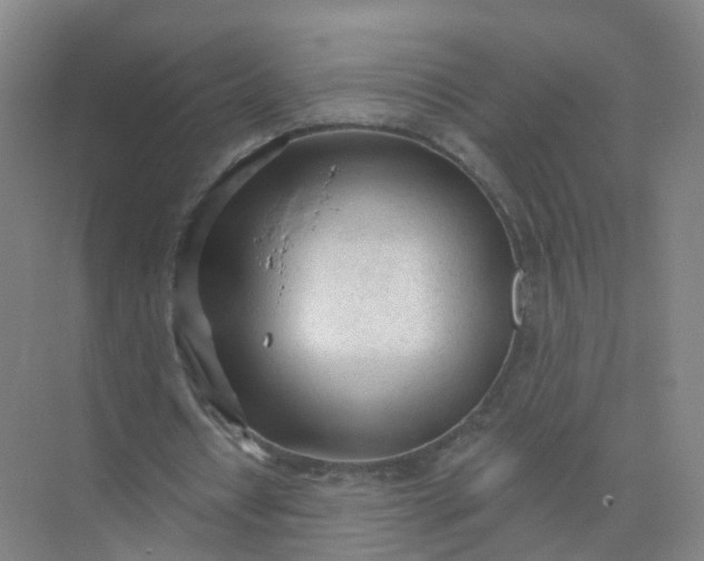 X0000074940434200609152009