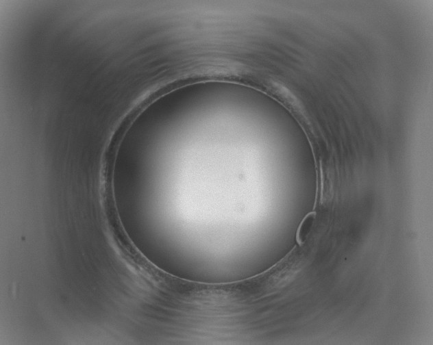 X0000074940435200609152009