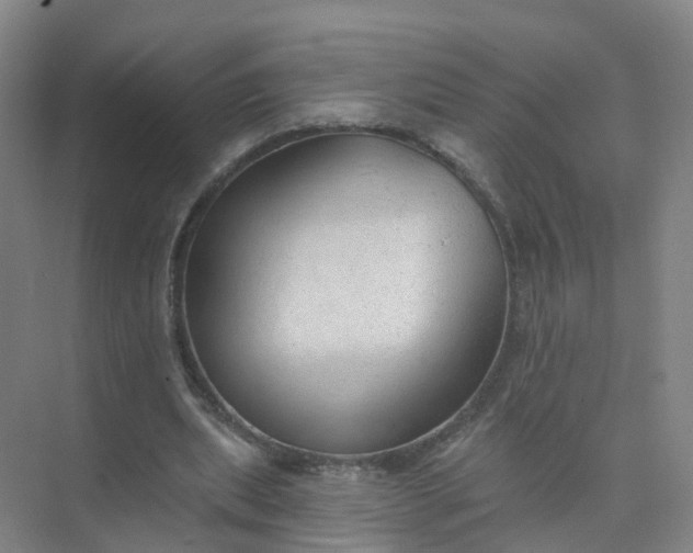 X0000074940439200609152009