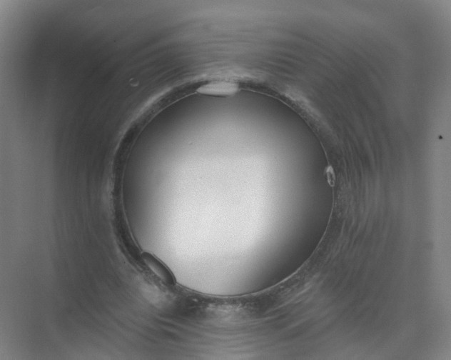 X0000074940440200609152009