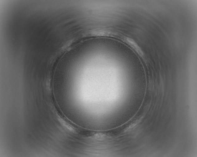 X0000074940441200609152009