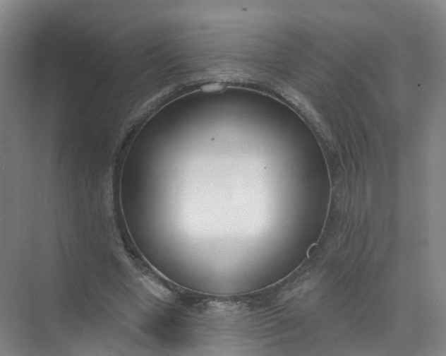 X0000074940442200609152009