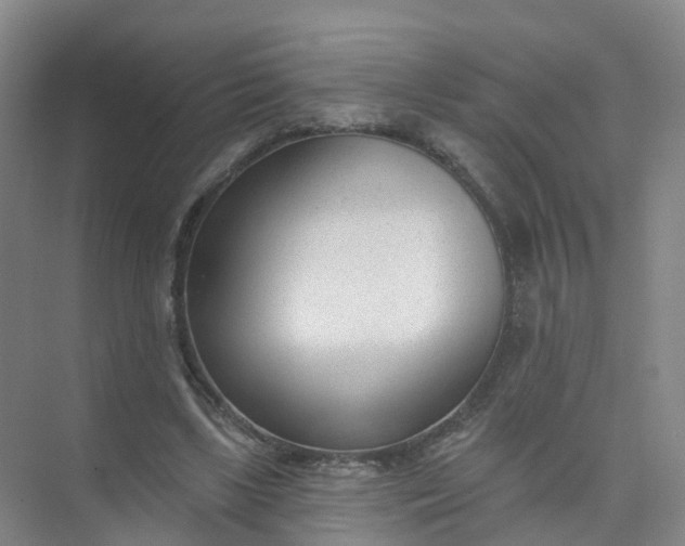 X0000074940443200609152009