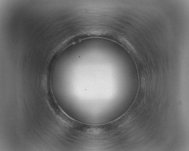 X0000074940444200609152009