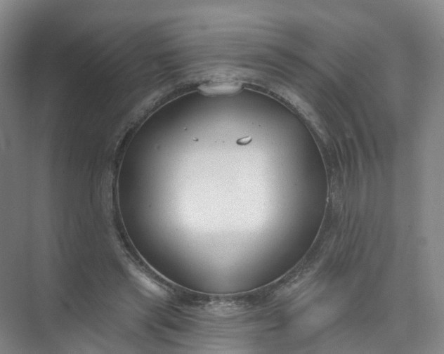 X0000074940445200609152009